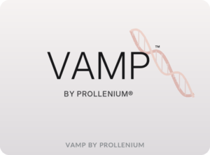 09_vamp